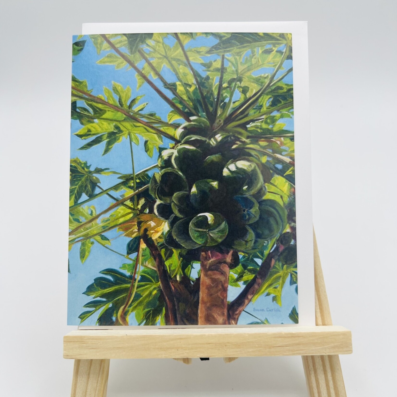 Susan Carlisle Kaua’i Plants - Single Art Notecard w/Envelope Papayas