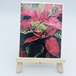 Susan Carlisle Kaua’i Plants - Single Art Notecard w/Envelope Poinsettias