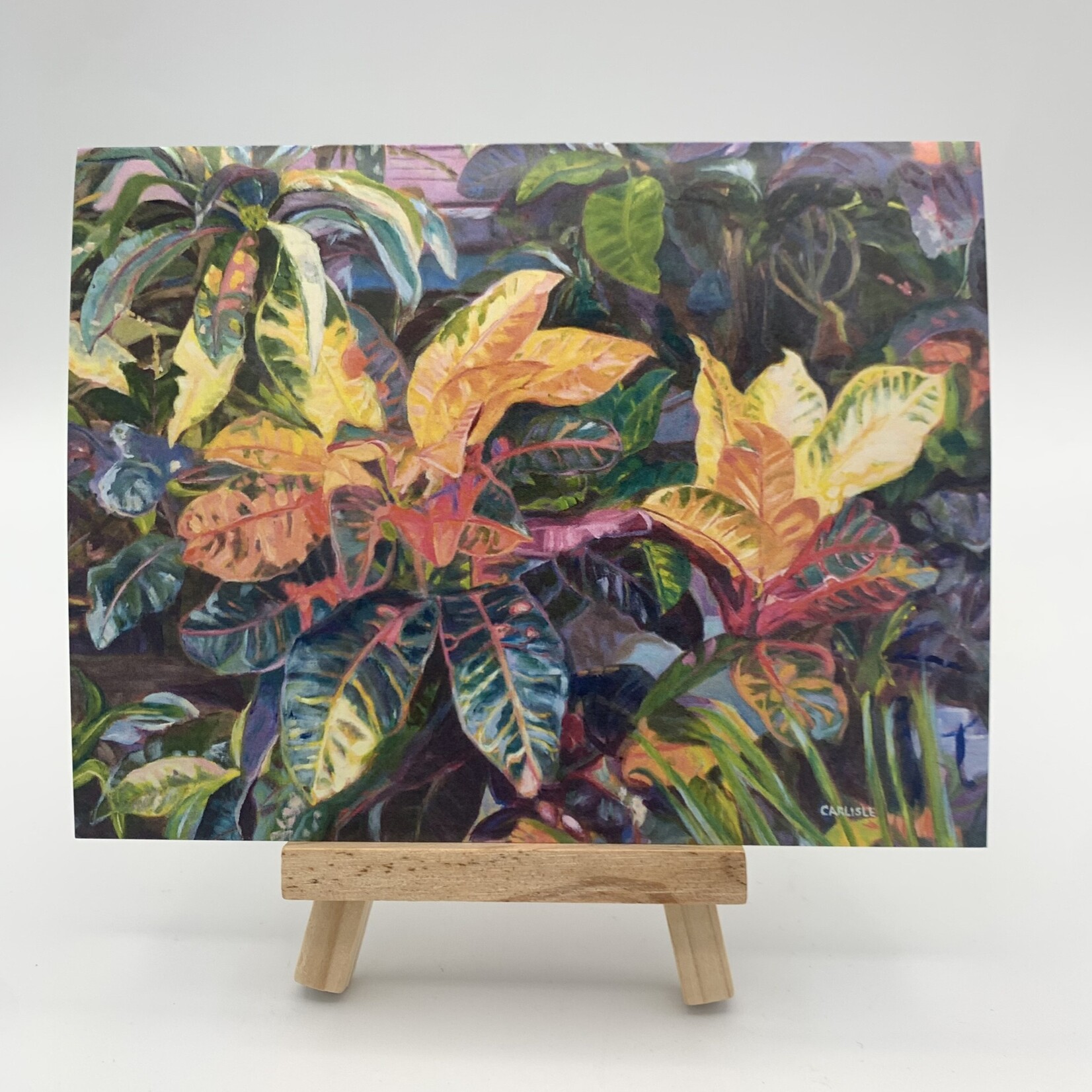 Susan Carlisle Kaua’i Plants - Single Art Notecard w/Envelope Backyard Crotons