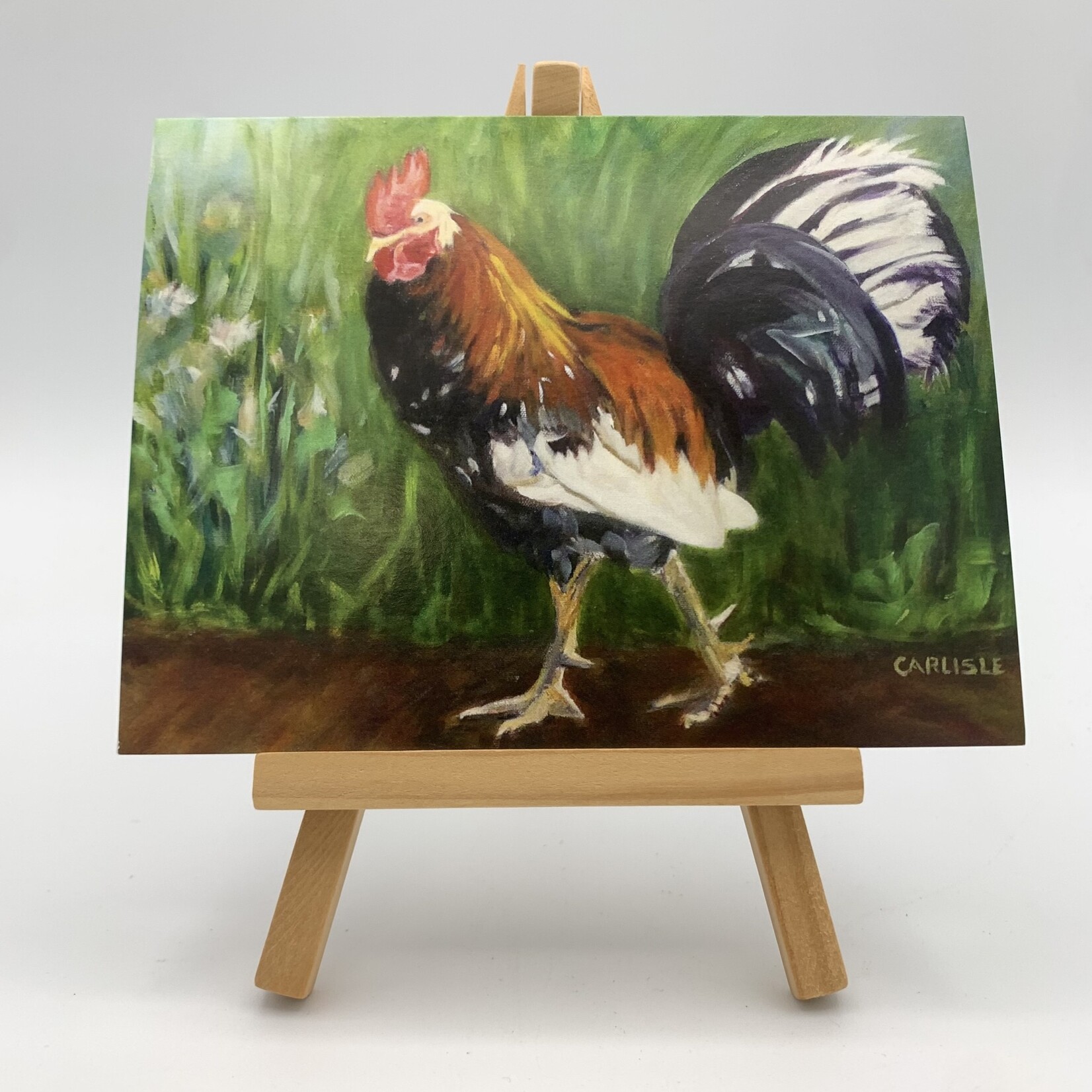 Susan Carlisle Kaua’i Wildlife - Single Art Notecard w/Envelope Armed and Dangerous