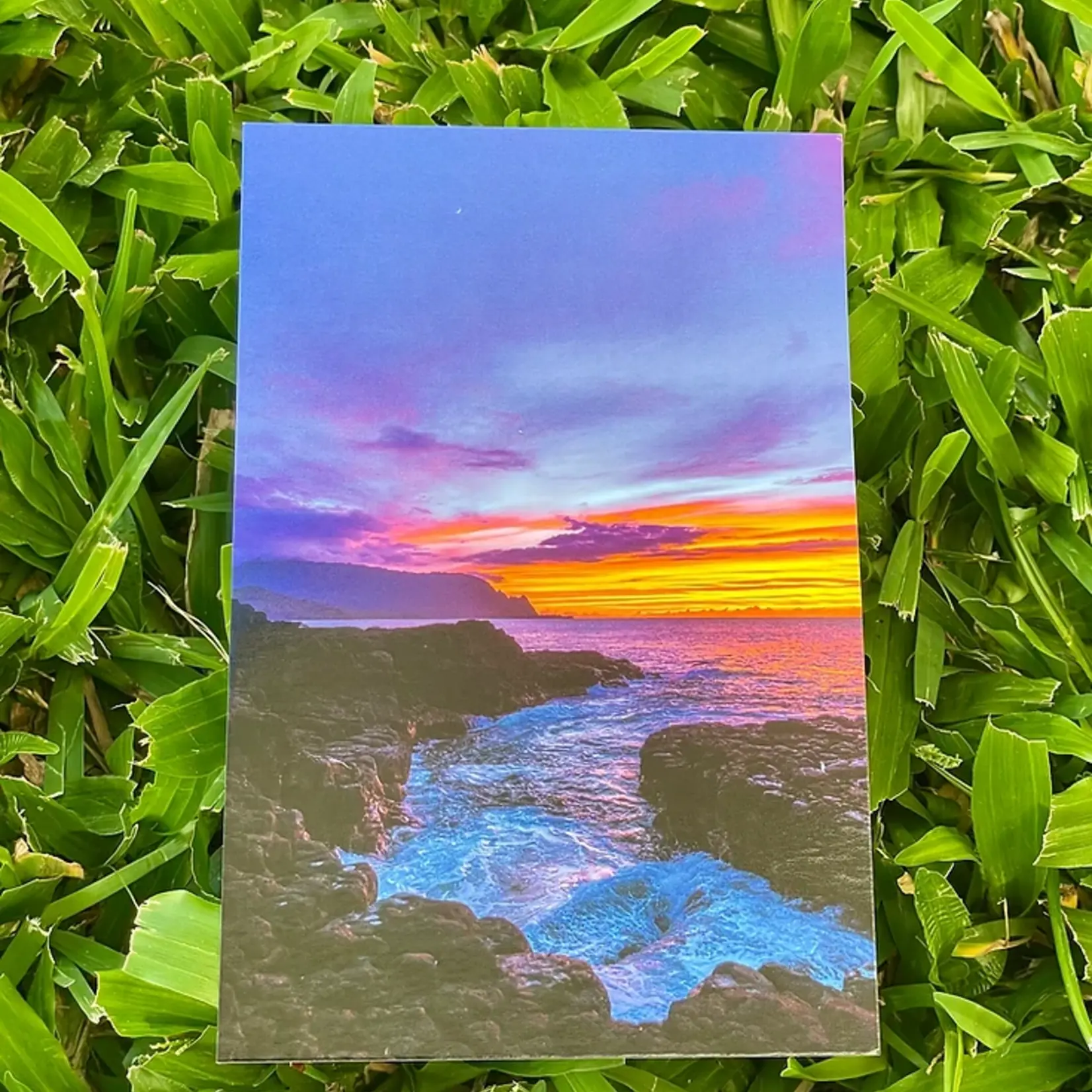Natalie Earth LLC Paradise Cove, 2021 4x6" Postcard