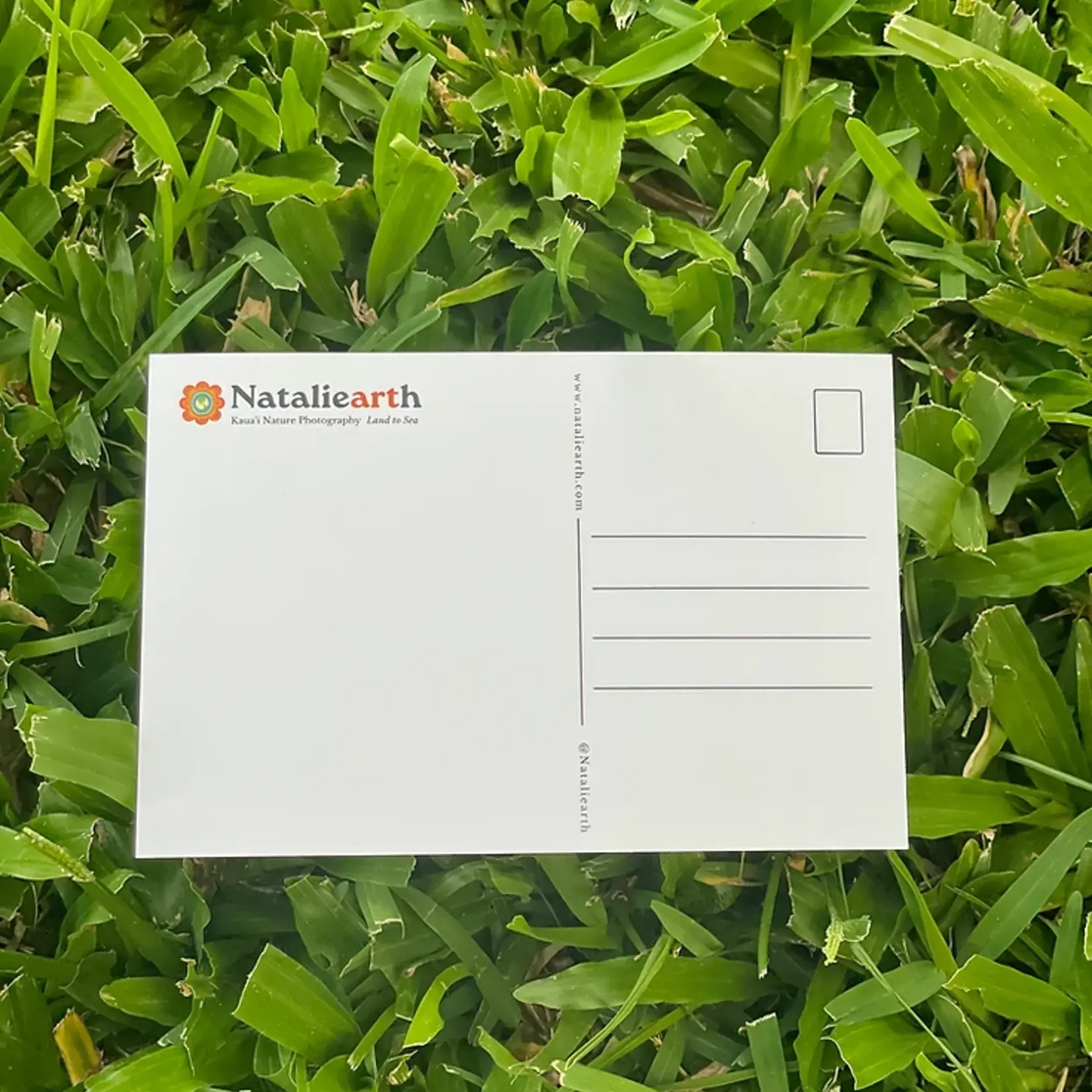 Natalie Earth LLC Morning Ānuenue, Kaua'i 2023 4x6" Postcard