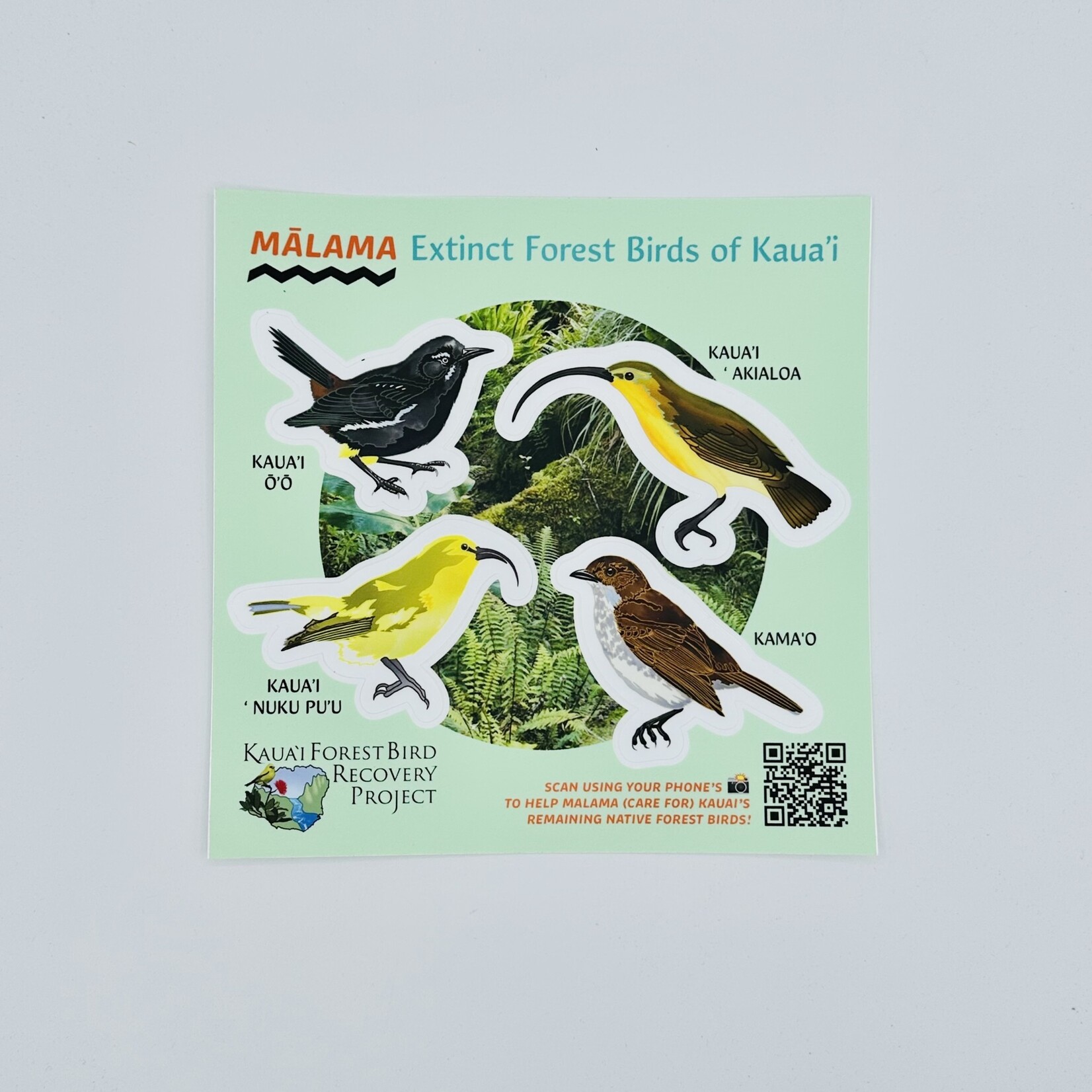 Kaua'i Forest Bird Recovery Project Extinct Forest Birds of Kauai Sticker Sheet