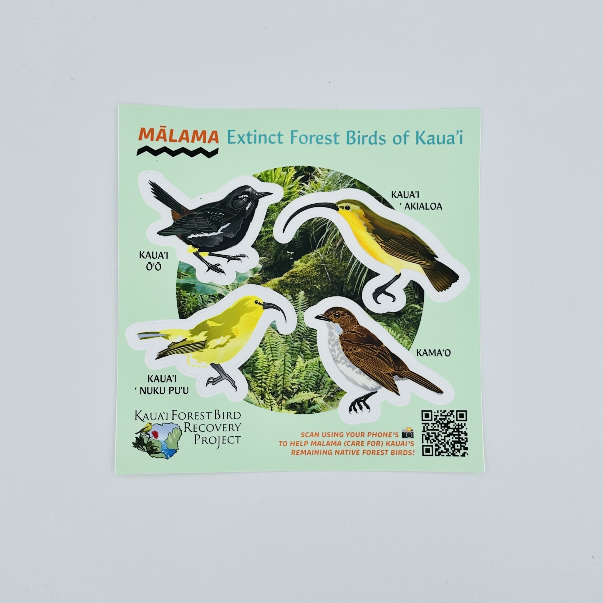 Illustrated Native Bird Stickers – Maui Forest Bird Recovery Project