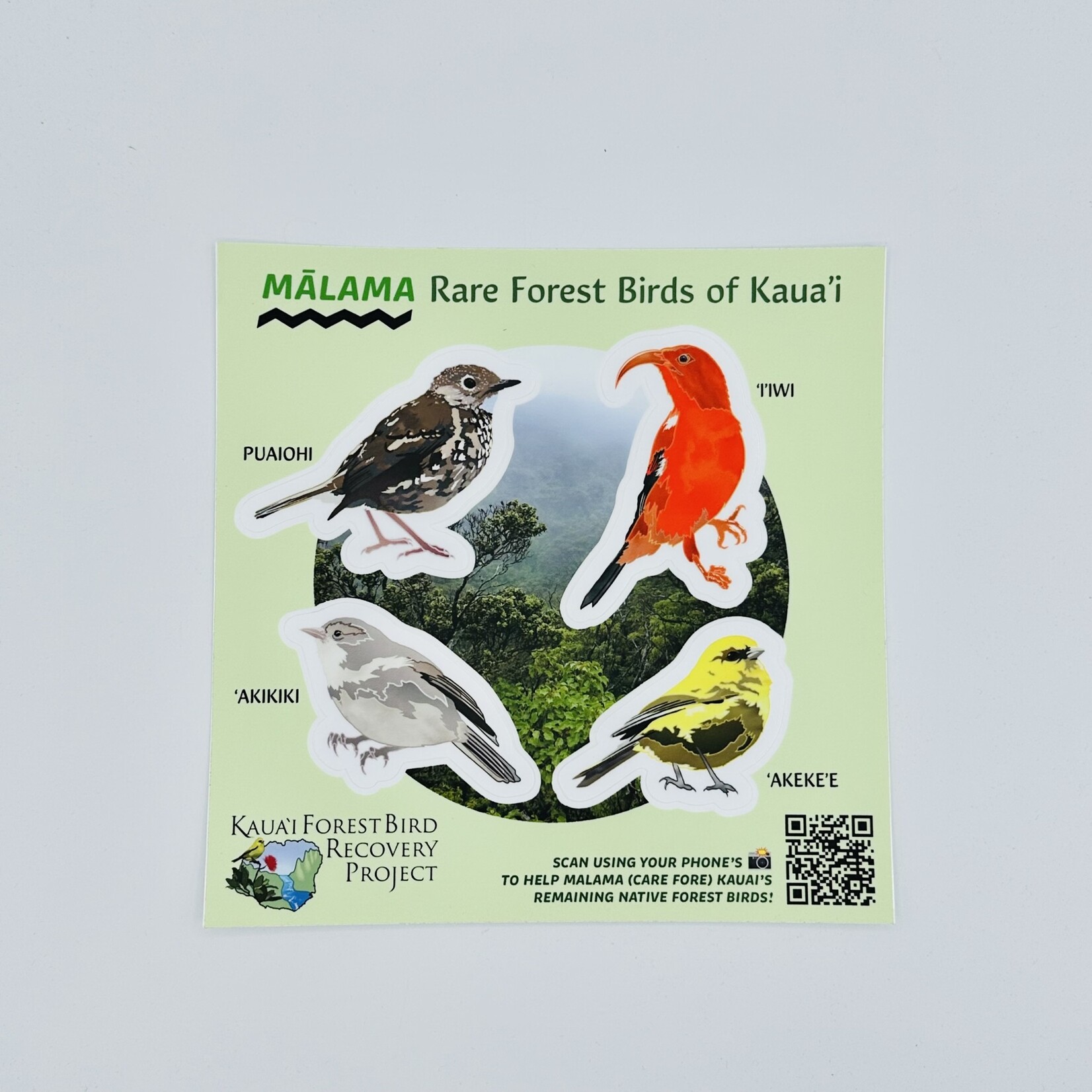 Kaua'i Forest Bird Recovery Project Rare Forest Birds of Kauai Sticker Sheet