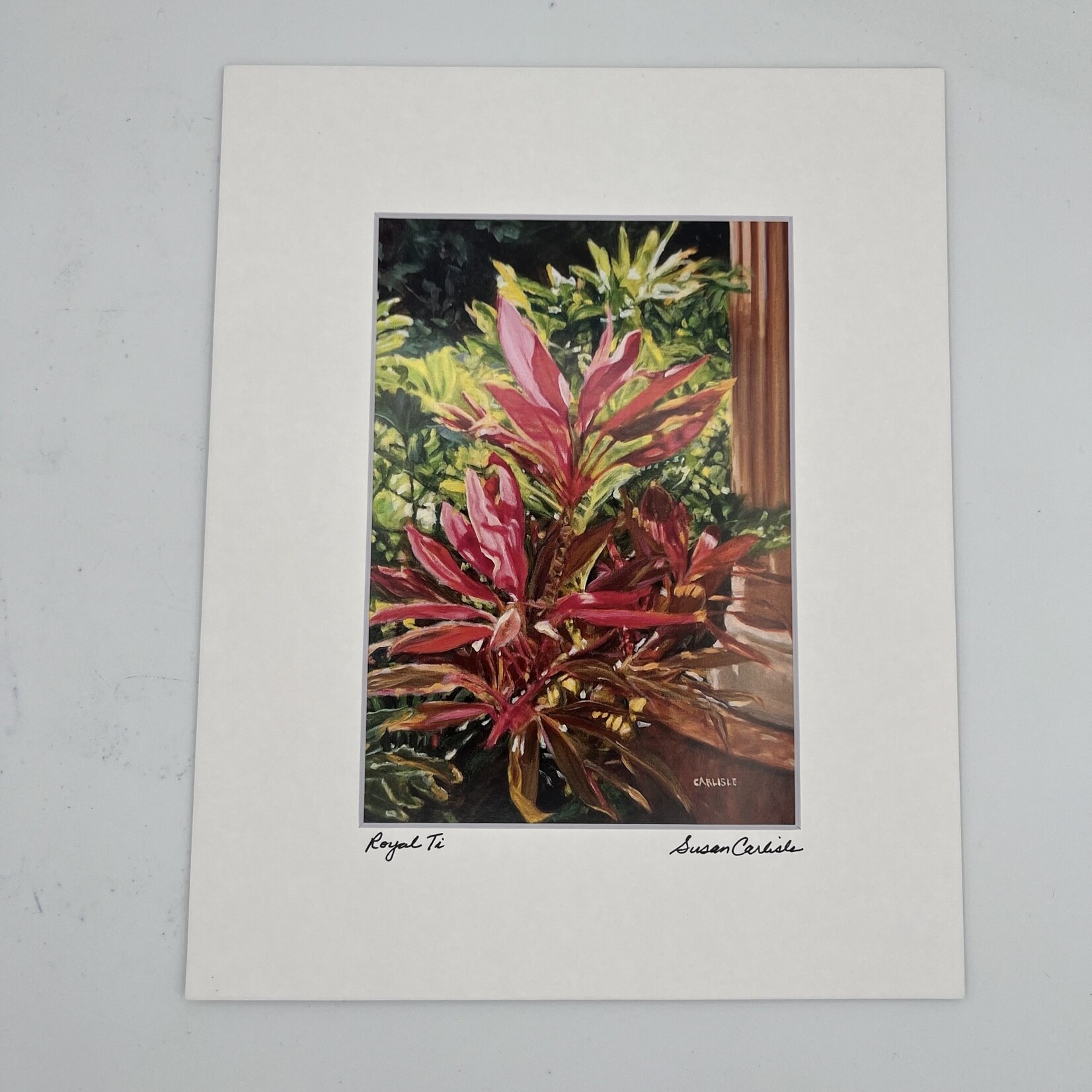 Susan Carlisle Royal Ti Plant Print