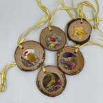 Kaua'i Forest Bird Recovery Project Kaua’i Forest Bird Recovery Project Small Xmas Ornaments - Asst.