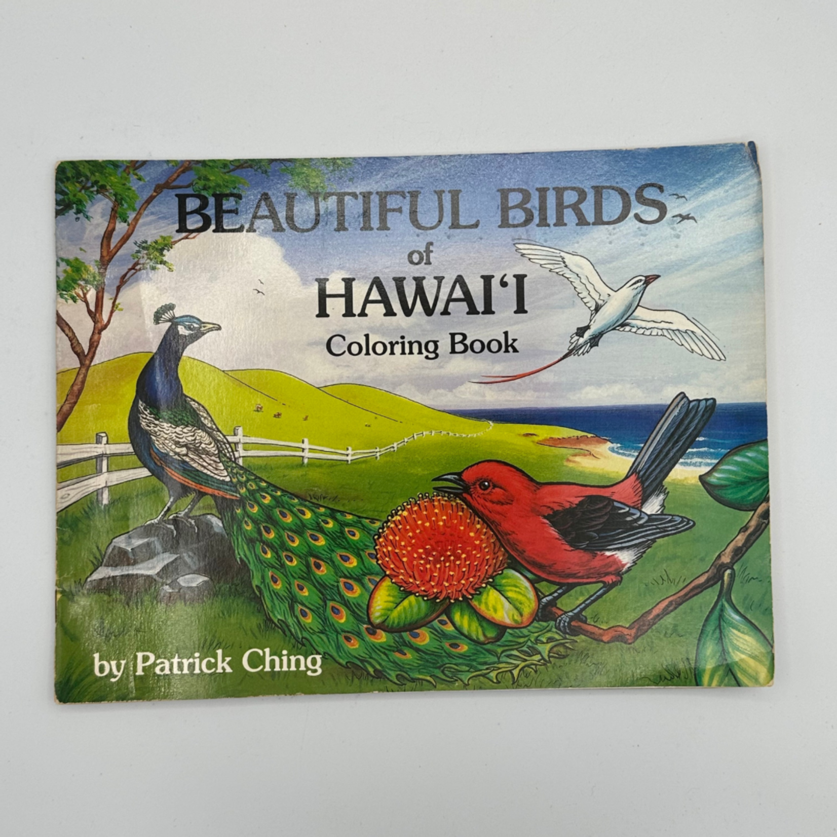 Mission Zero Vintage Birds of Hawai'i Coloring Book