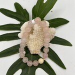 Shell Of A Life Rose Quartz + Coral Bead Bracelet
