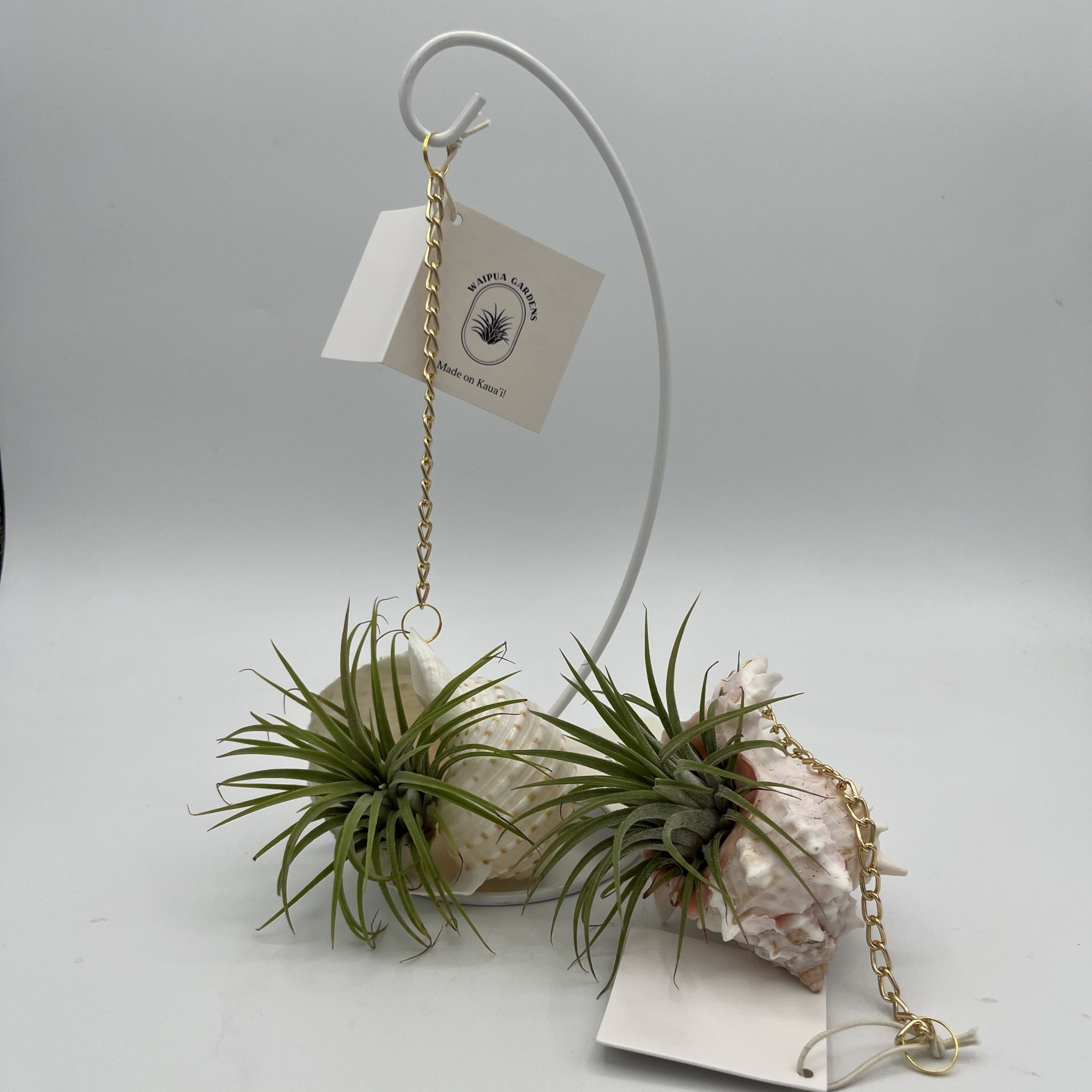 Waipua Gardens Gold Chain Assorted Shell Ornaments *stand sold