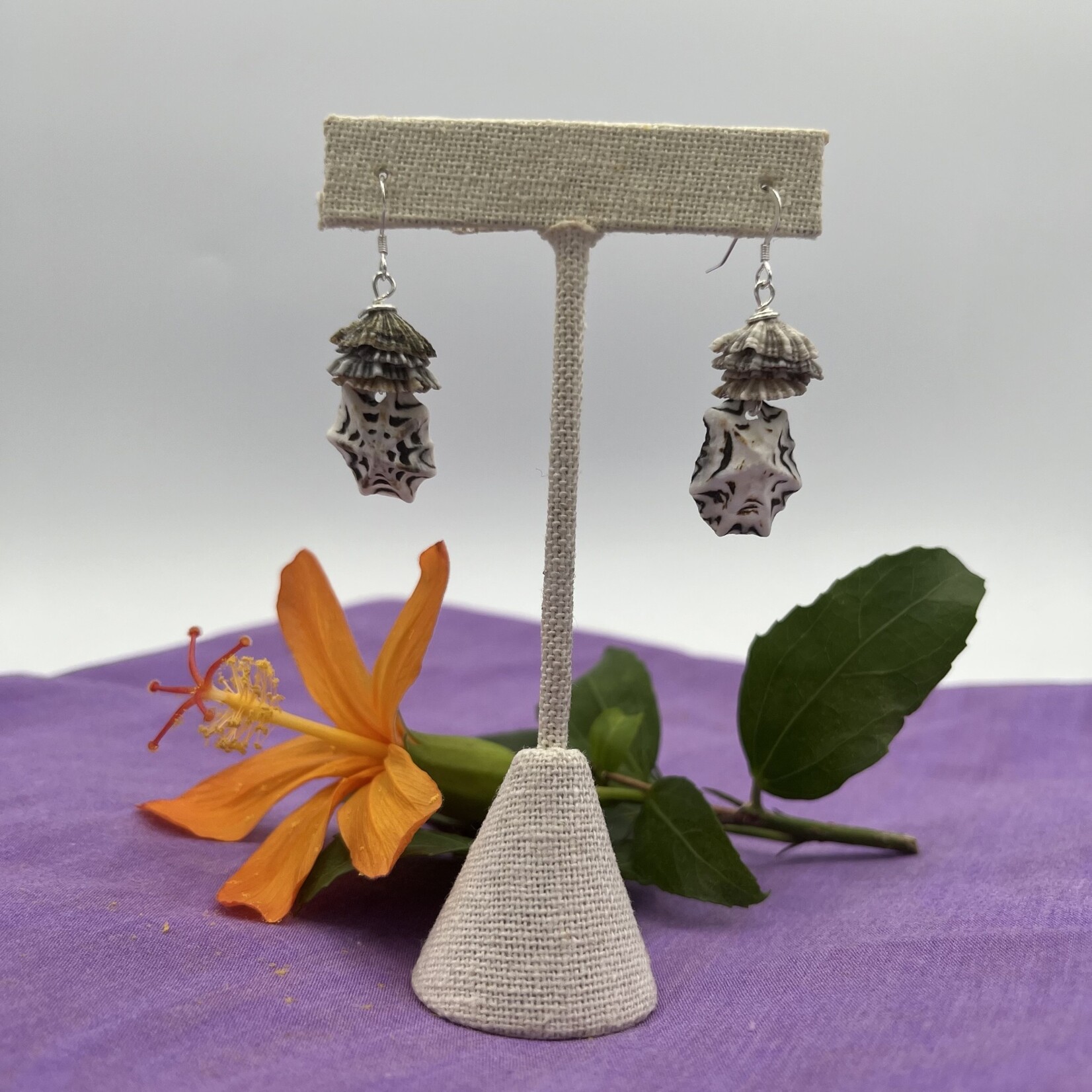 Shell Of A Life Opihi Shells + Silver Earrings