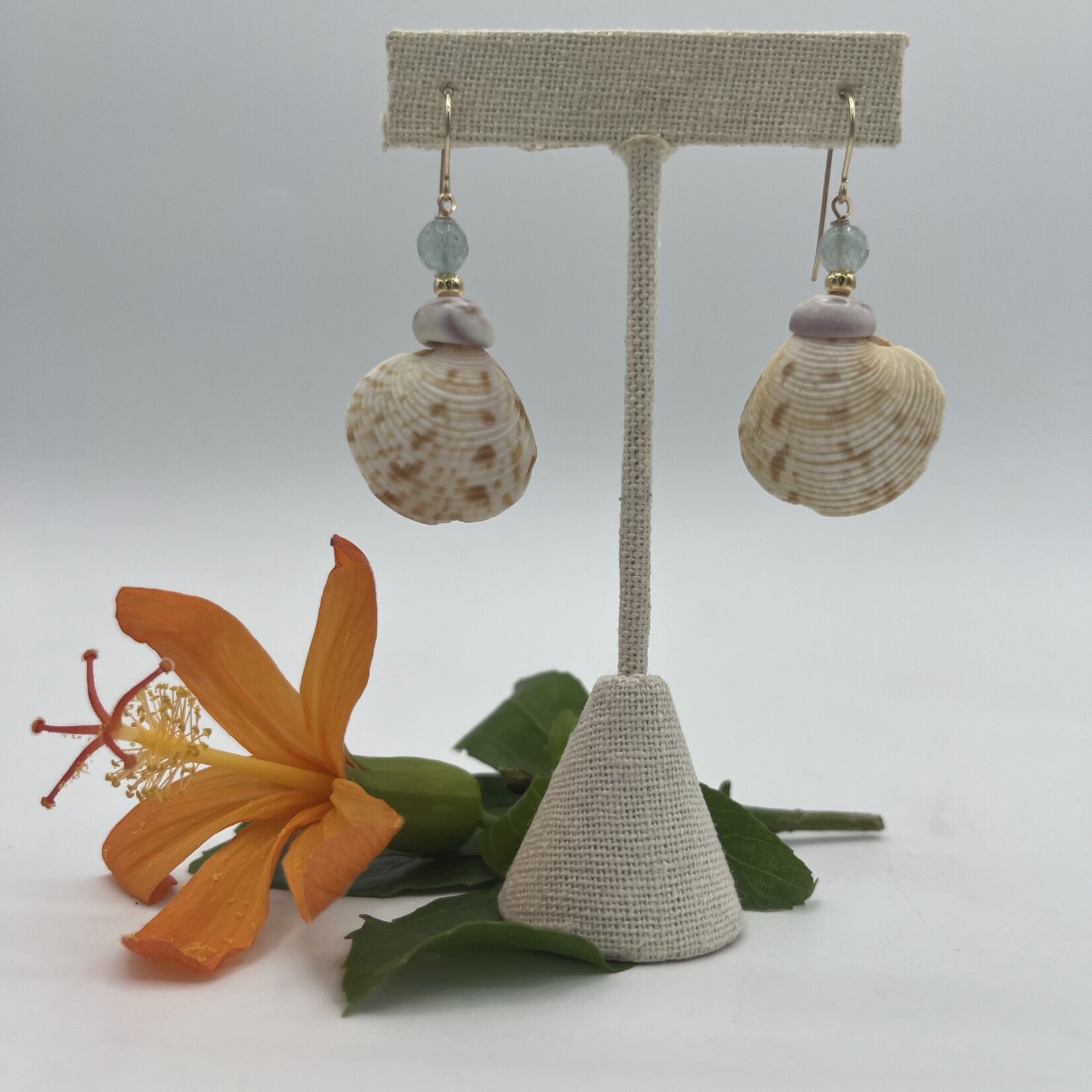 Shell Of A Life Decussate Shell + Pukas + Aquamarine GF Earrings