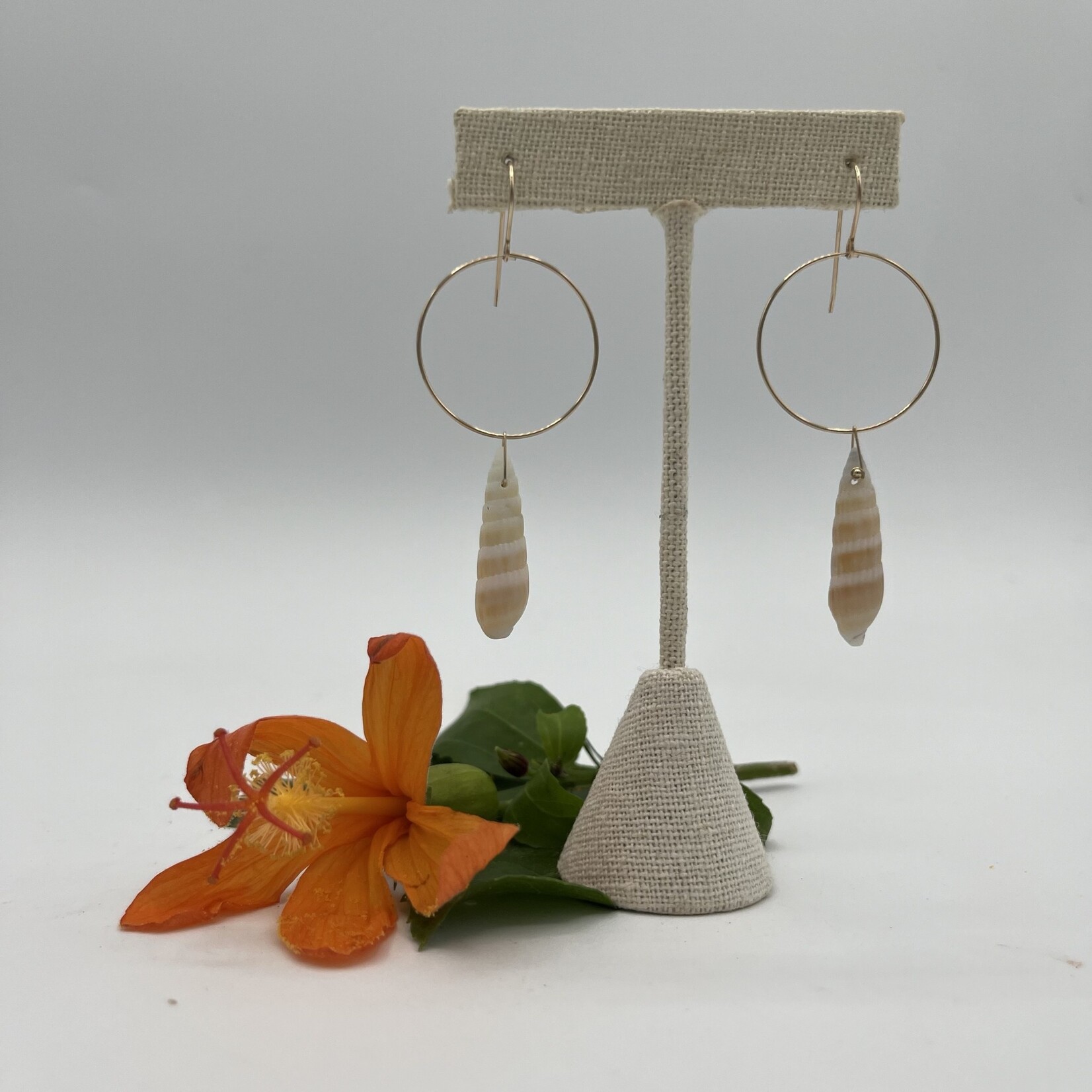 Shell Of A Life Auger Shells GF Earrings