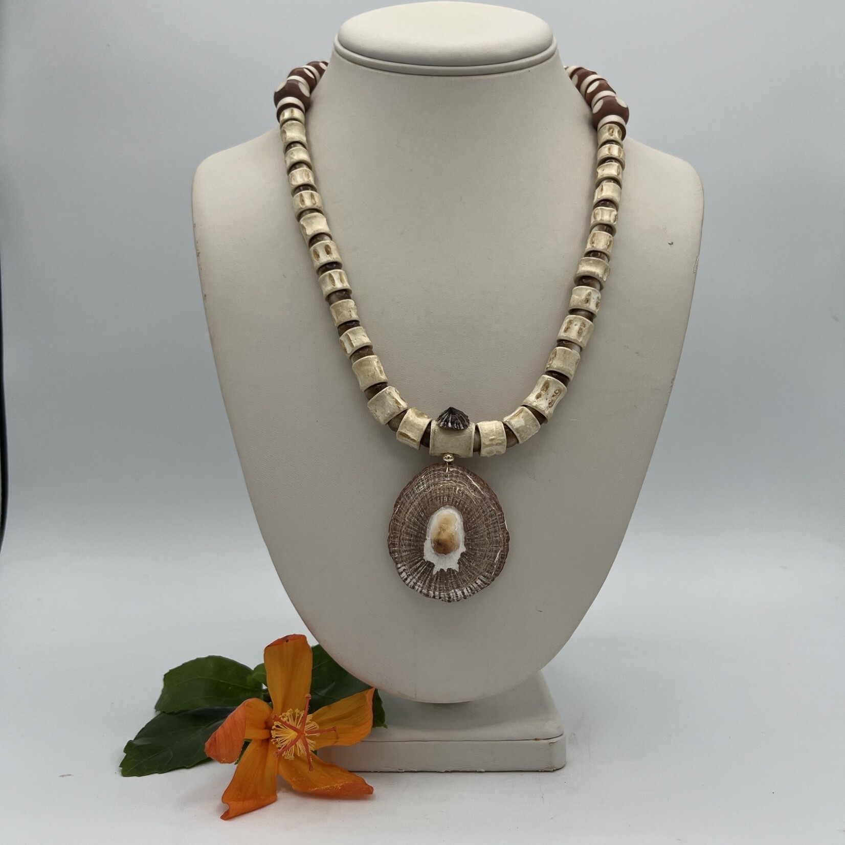 Shell Of A Life Opihi + Fish Centrum Bone GF Necklace