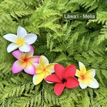 Puka Surf Co. Hawaii Lawai - 3” Plumeria Hairpick