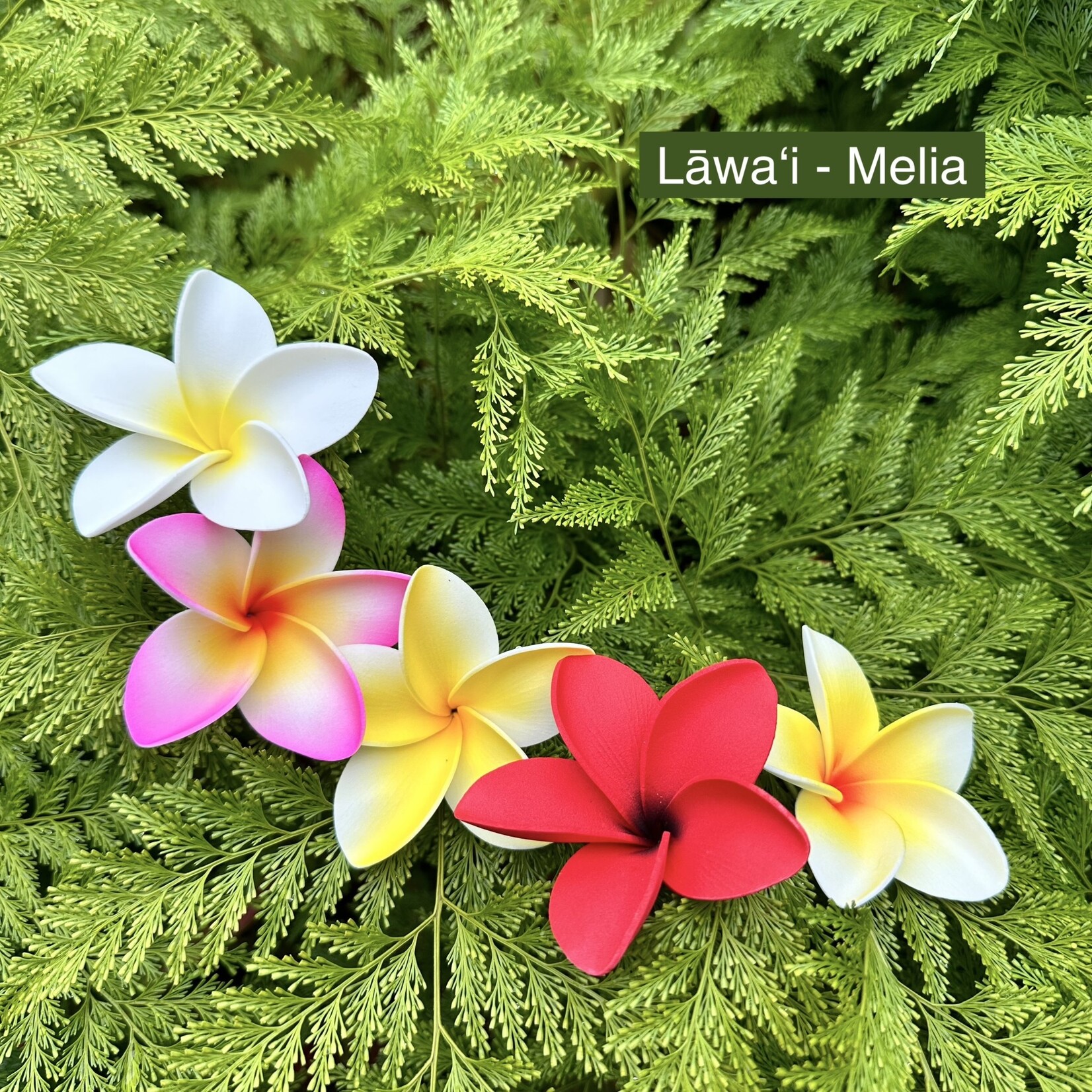 Puka Surf Co. Hawaii Lawai - 3” Plumeria Hairpick