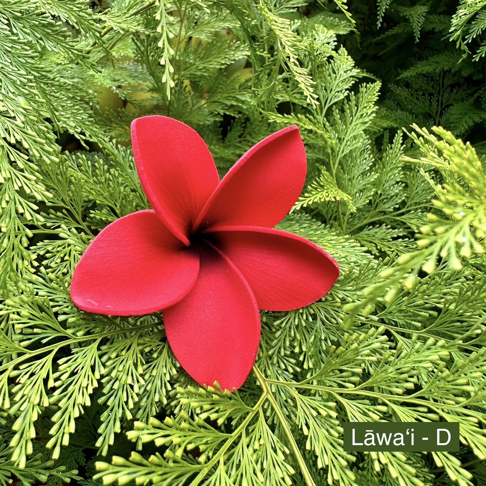 Puka Surf Co. Hawaii Lawai - 3” Plumeria Hairpick