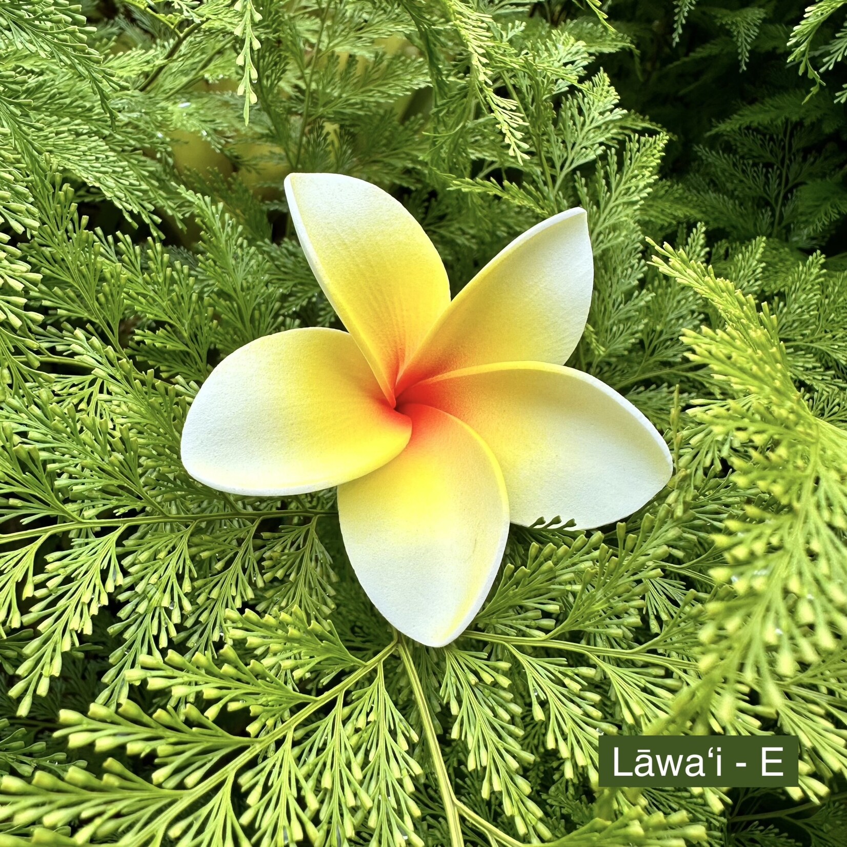 Puka Surf Co. Hawaii Lawai - 3” Plumeria Hairpick
