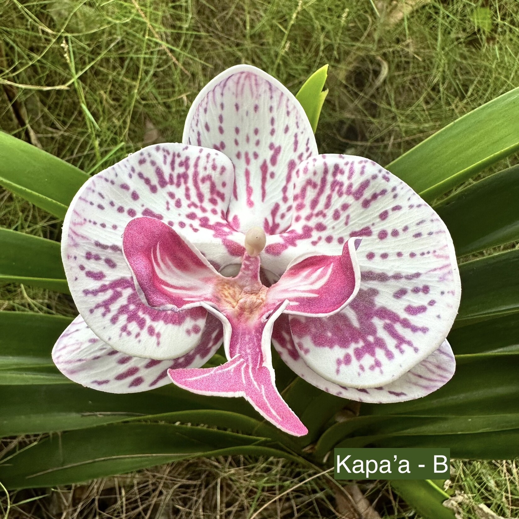 Puka Surf Co. Hawaii Kapa’a -  3.5” Orchid Hair Pick -