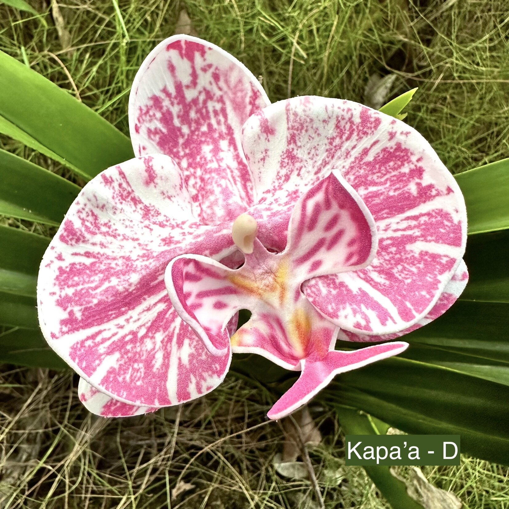 Puka Surf Co. Hawaii Kapa’a -  3.5” Orchid Hair Pick -
