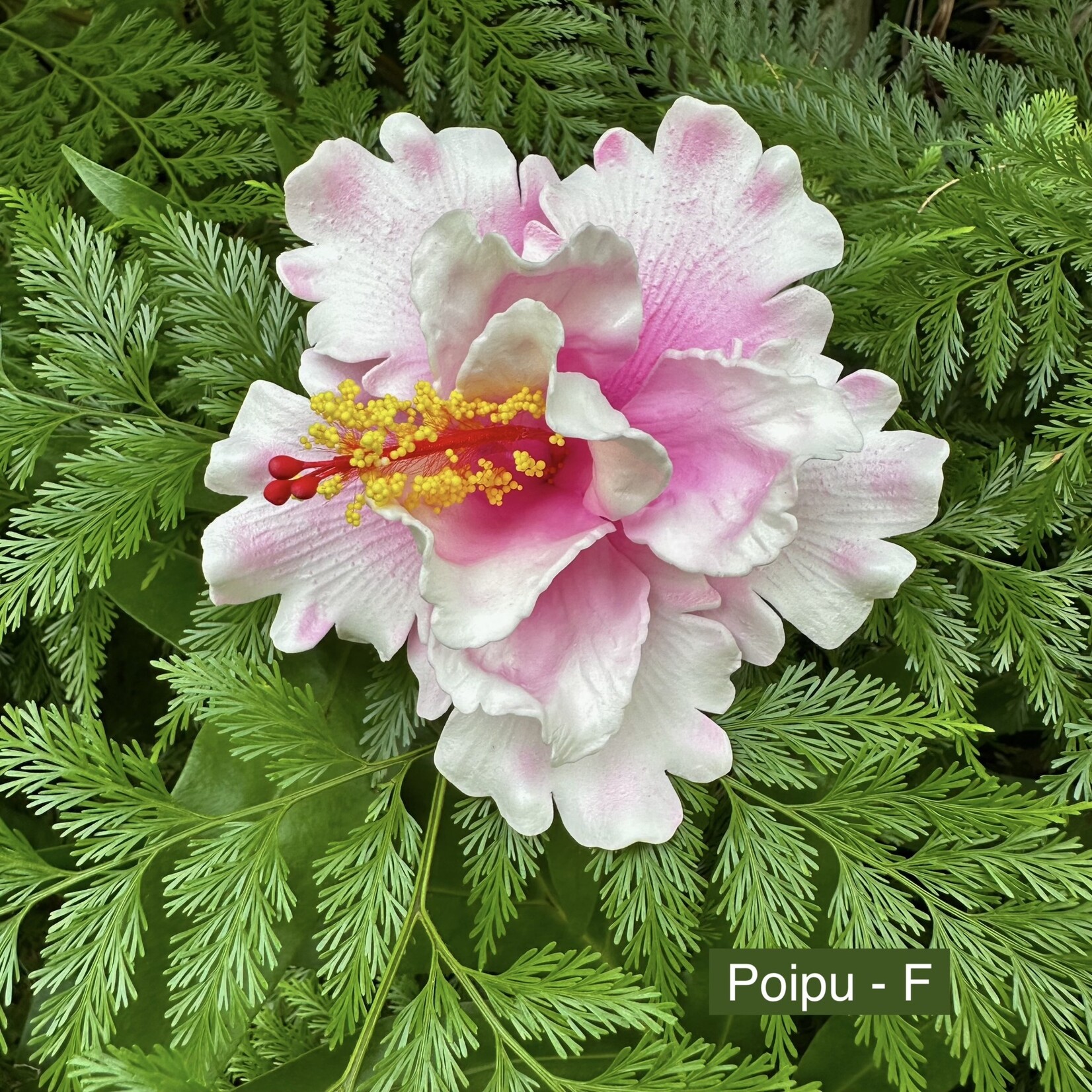 Puka Surf Co. Hawaii Poipu - 5” Hibiscus Hair Pick -