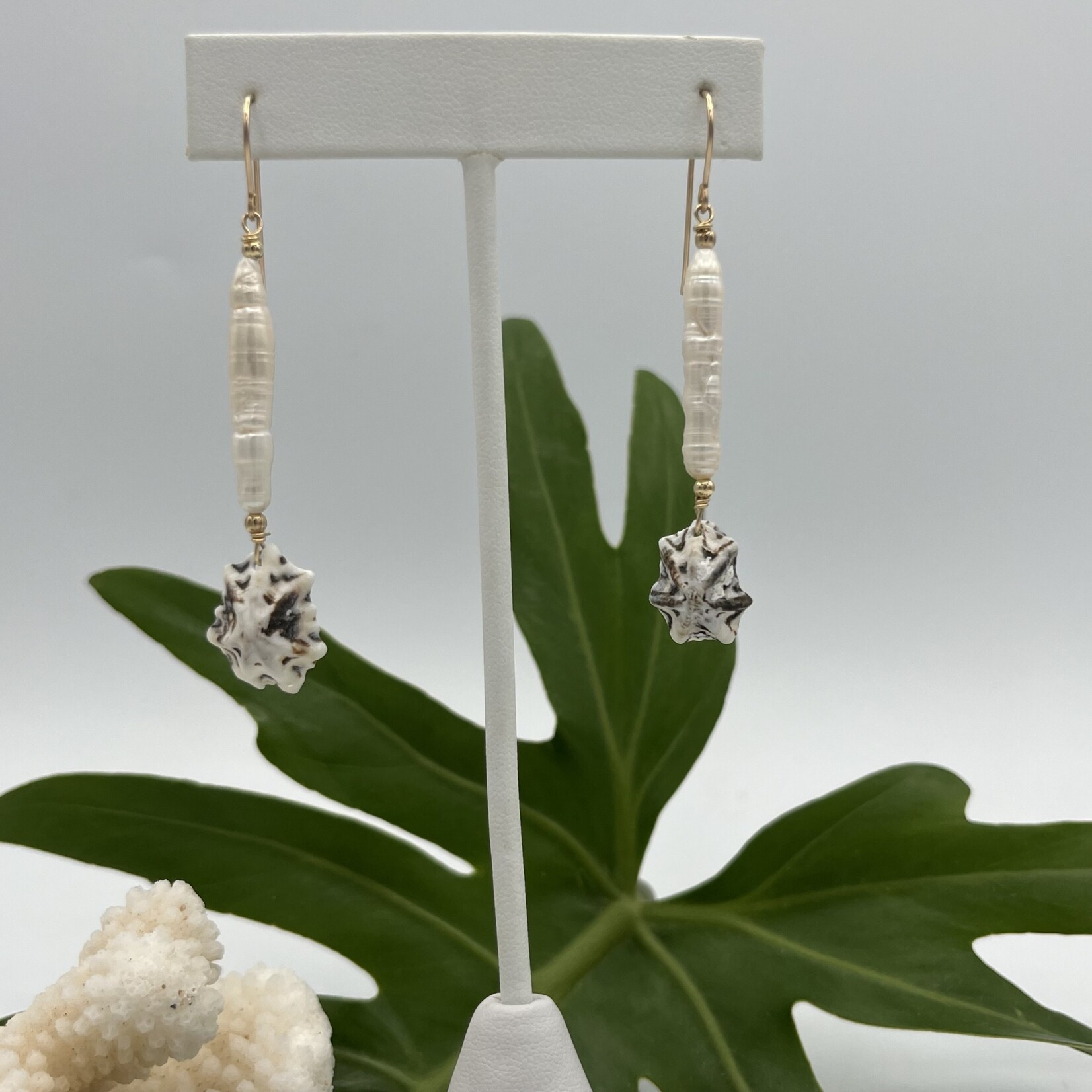 Shell Of A Life Star Limpet Shell + FW Pearl Stick Earrings