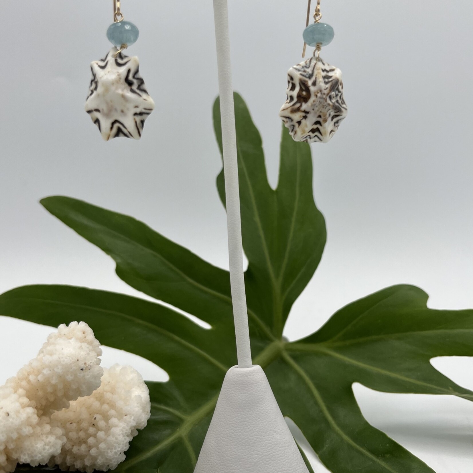 Shell Of A Life Aquamarine + Star Limpet Shell GF Earrings