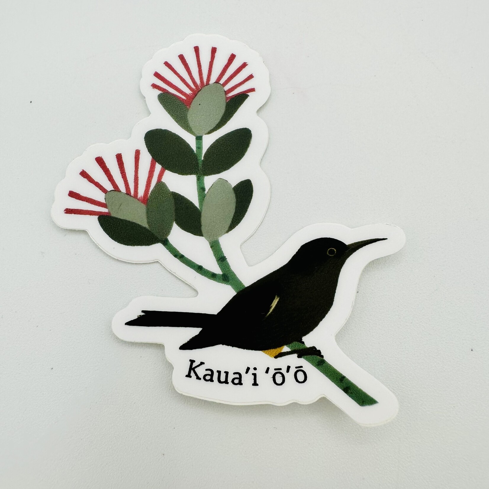 Kaua'i Forest Bird Recovery Project Kaua’i Ō'ō on Ohia Sticker