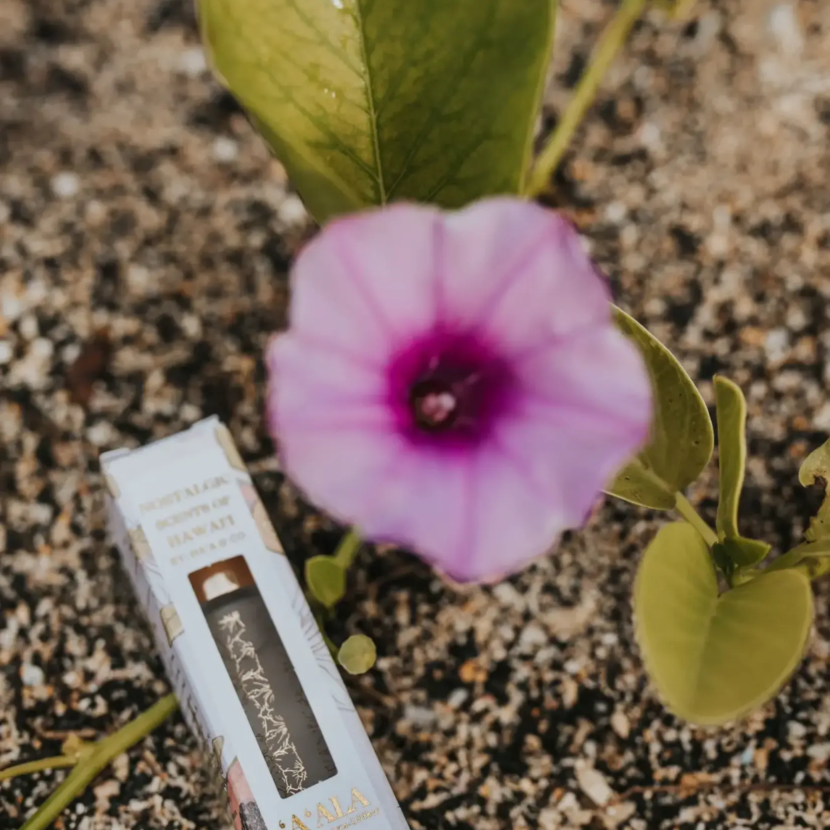 Ha’a & Co. Perfume Rollers