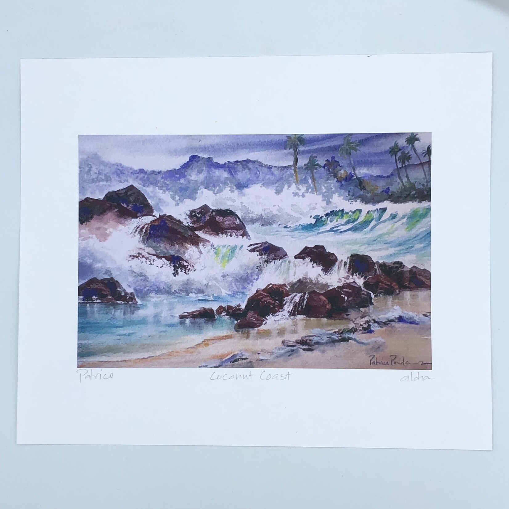 Patrice Pendarvis Studio Coconut Coast