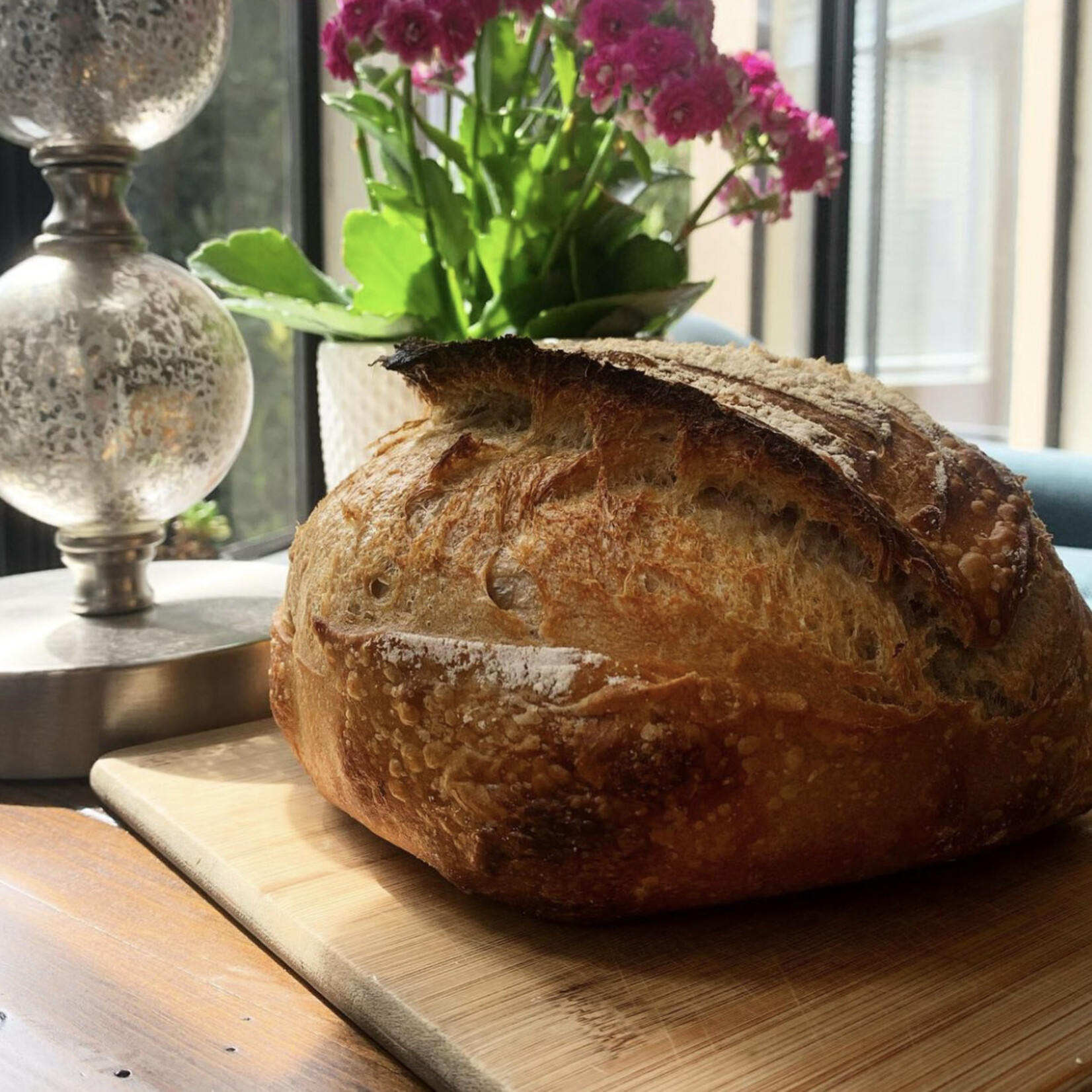 Fresh Baked Traditional Sourdough Round Loaf