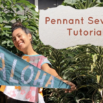 Machinemachine Pennant Sewing Tutorial