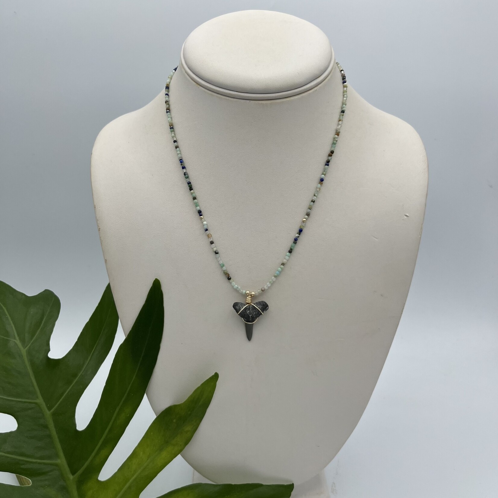 Shell Of A Life Amazonite + Lemon Shark Tooth Necklace