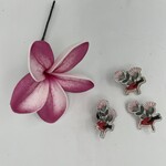 Kaua'i Forest Bird Recovery Project Kaua’i Forest Bird 'I'iwi Pin