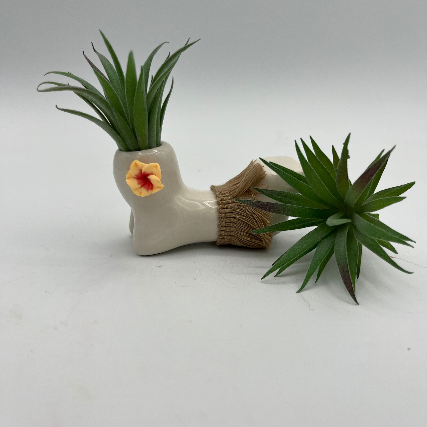 Waipua Gardens No Care Airplant - Hula Girl w/Asst. Color Flower