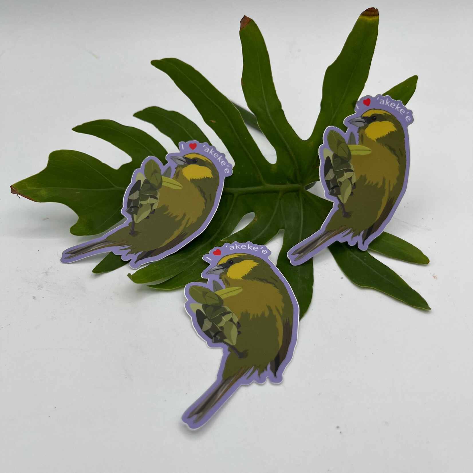 Kaua'i Forest Bird Recovery Project I ❤️ ‘akeke’e Sticker