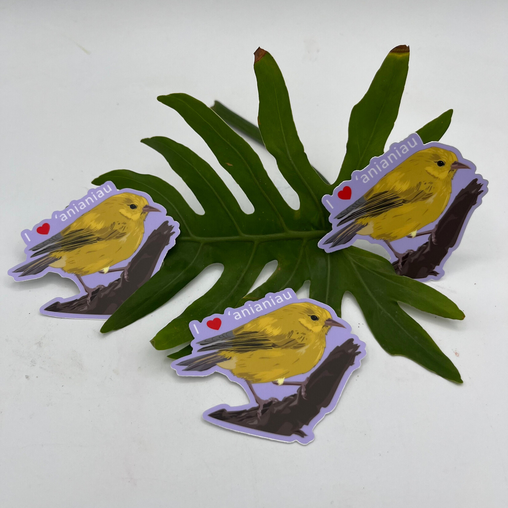 Kaua'i Forest Bird Recovery Project I ❤️ ‘anianiau Sticker
