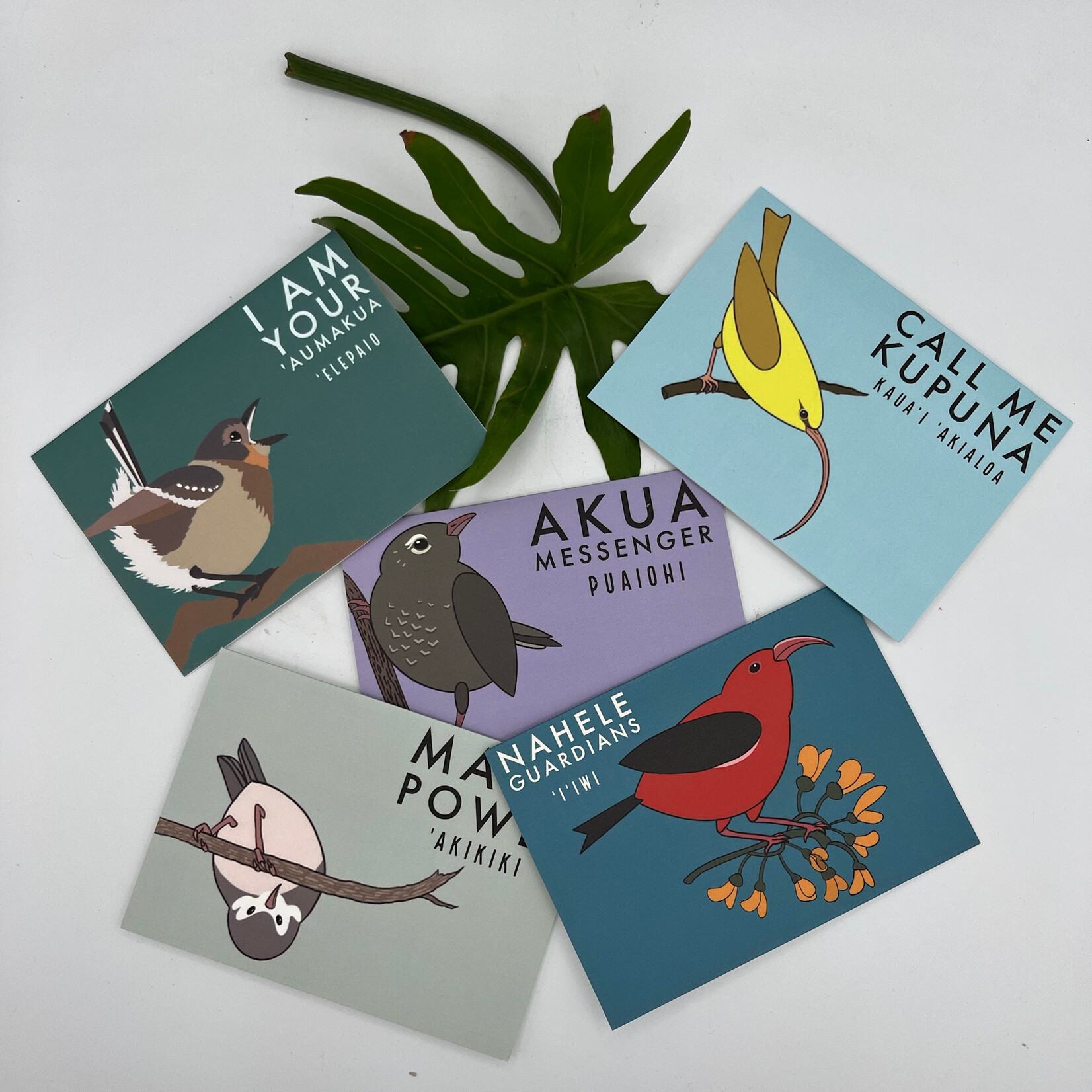 Kaua'i Forest Bird Recovery Project 5-pack Endangered Birds Cartoon Art Notecard w/envelope