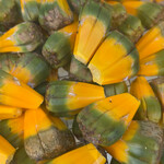 Wai’iti Botanicals / Aroma Hawaii Pū hala Hydrosol 2 ounces or Essential Water Pandanus tectorius