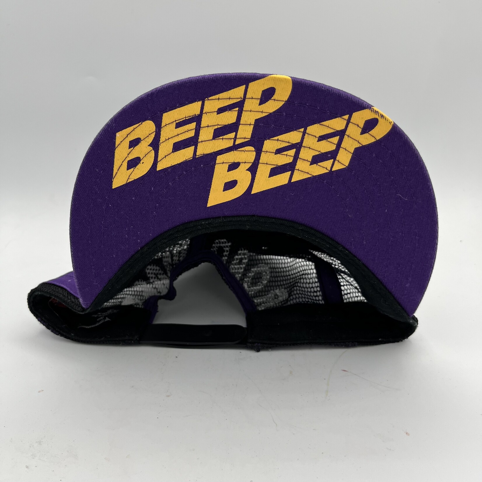 Mission Zero Reloved  SnapBack Hat - Looney Tunes - Road runner Purple