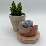 Little McKfarm 2pc Celestite Planter Small