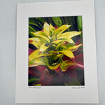 Susan Carlisle Green Bromeliad Print 11” x 14”