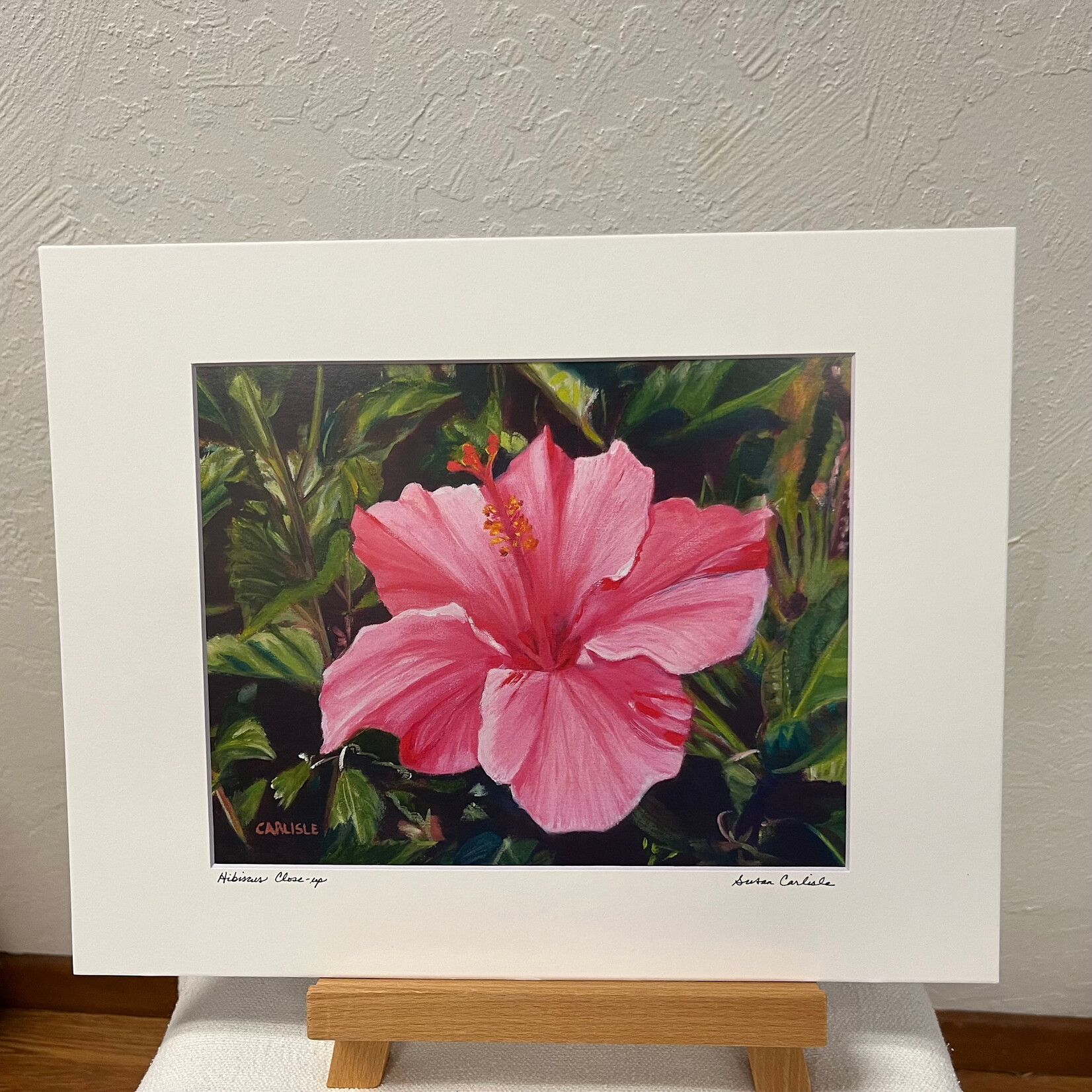 Susan Carlisle Hibiscus Close-up Print