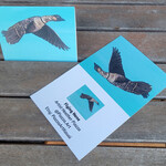 Piazza Art Flying Nene - Piazza Art Card 4 1/2" x 5 1/2"