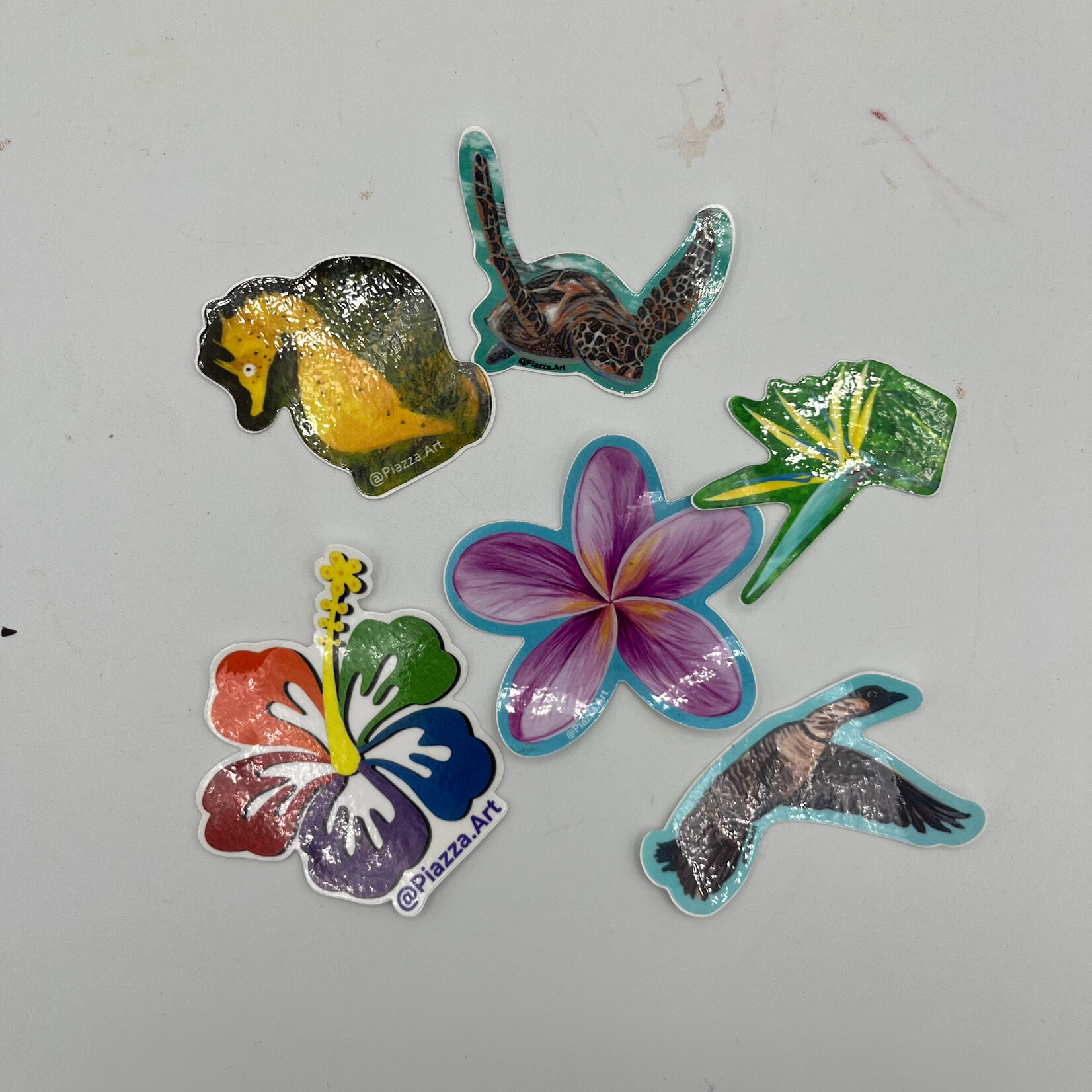 Piazza Art Assorted Piazza Art Vinyl Sticker - Small 1-3"