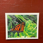 Piazza Art Magical Monarch @Piazza.Art