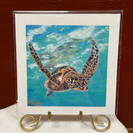 Piazza Art Sea Turtle @Piazza.Art