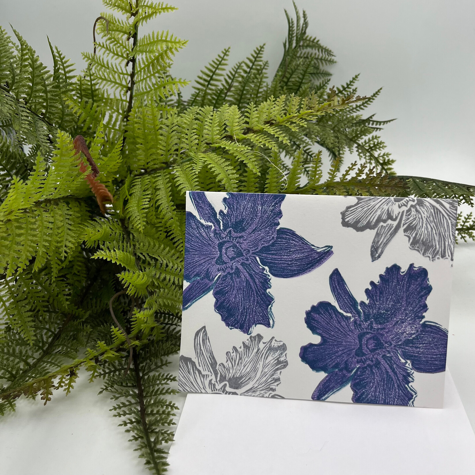 The HK Experience Koki’o Single Card