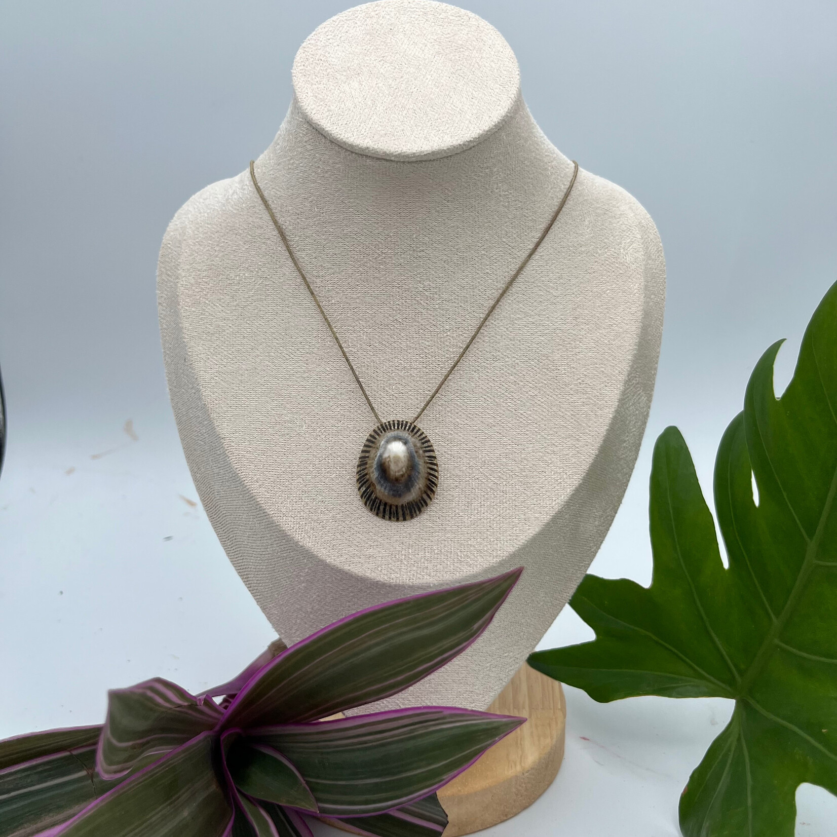 Mission Zero ReLoved - Polished Kauai Opihi w/Kauai Puka