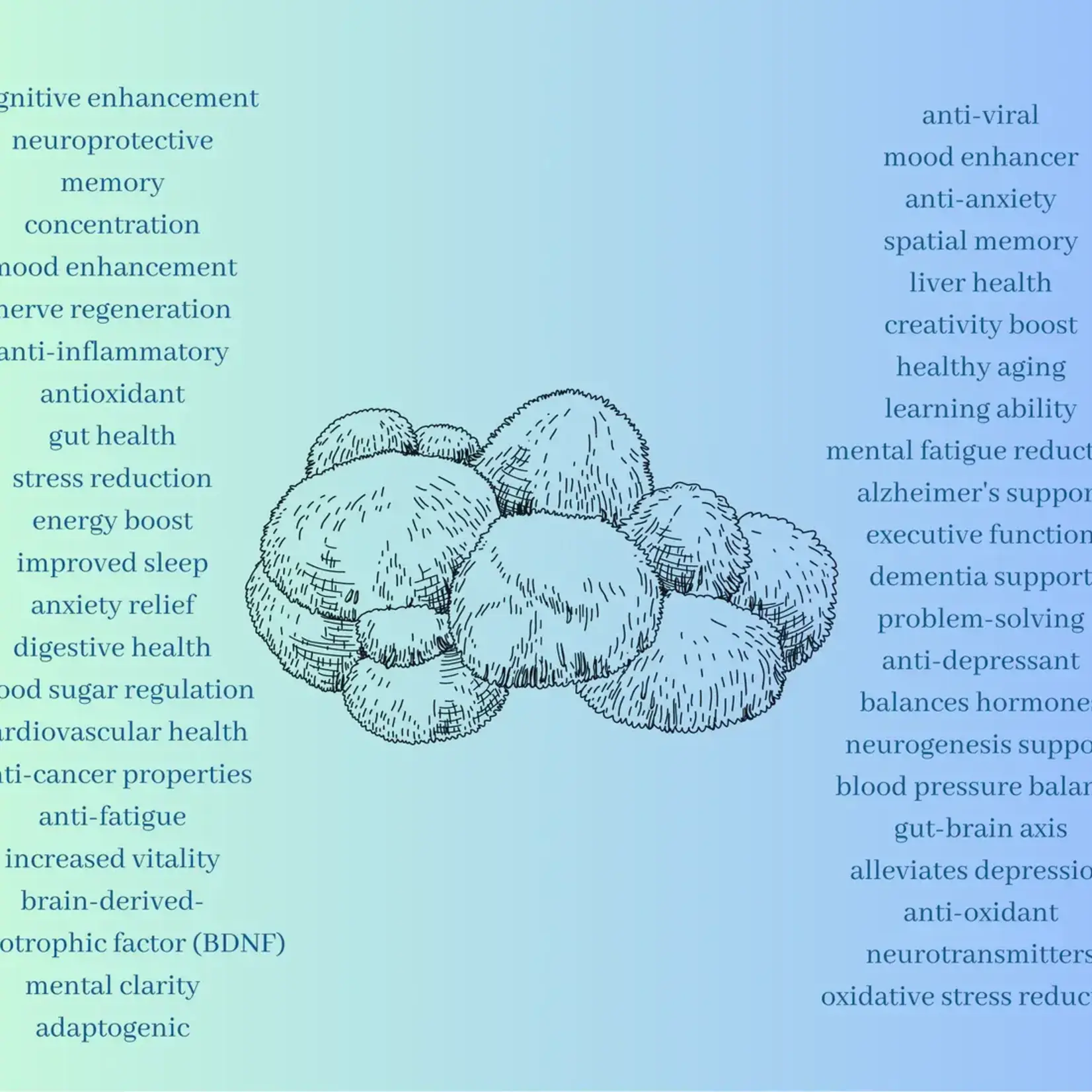 Hawaiian Health Co. Hawaiian Lion's Mane Cacao
